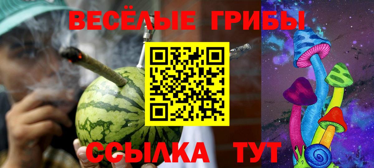 Галлюциногенные грибы прущие грибы Люберцы